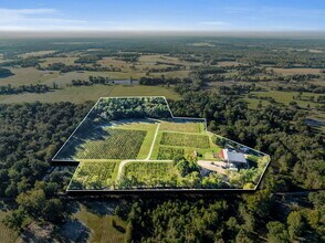 0 Winery, County Line, TX for sale Building Photo- Image 1 of 65