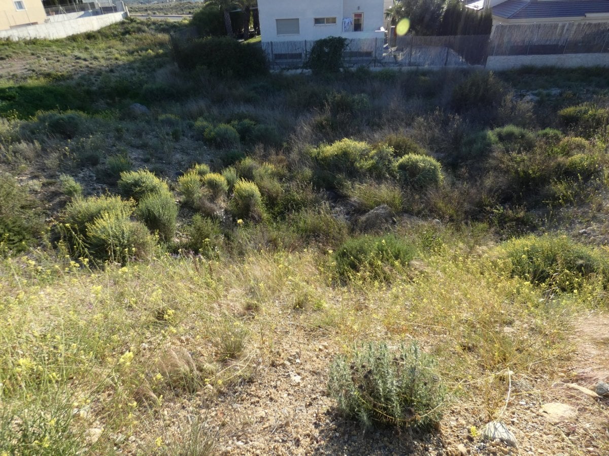 Land in Molina de Segura, Murcia for sale Aerial- Image 1 of 6