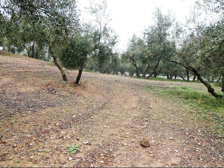 Land in Peligros, Granada for sale - Building Photo - Image 3 of 22