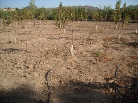 Land in Calasparra, Murcia for sale - Building Photo - Image 2 of 14