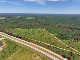 More details for 0 U.S. HWY 59, Loxley, AL - Land for Sale