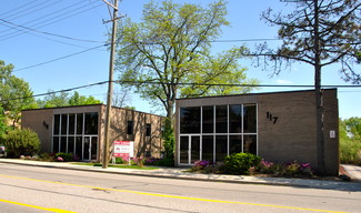 More details for 117 E Palatine Rd, Palatine, IL - Office for Rent