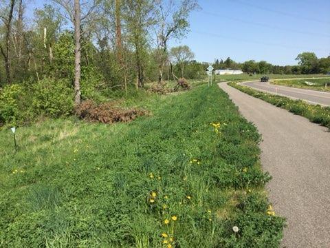 Xxx County Road 24 & 63rd Ave, Cannon Falls, MN for sale - Other - Image 3 of 12