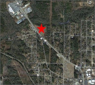 More details for 0 Roosevelt Hwy, Manchester, GA - Land for Sale