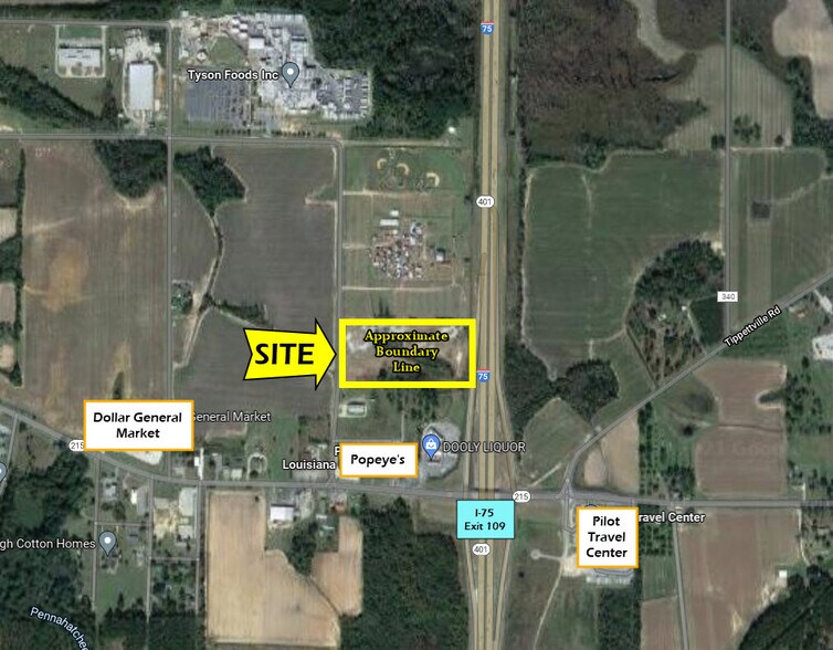 250 Pig Jig Blvd, Vienna 31092 Commercial Land Interstate Frontage