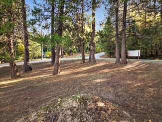 More details for New Mohawk Rd, Nevada City, CA - Land for Sale