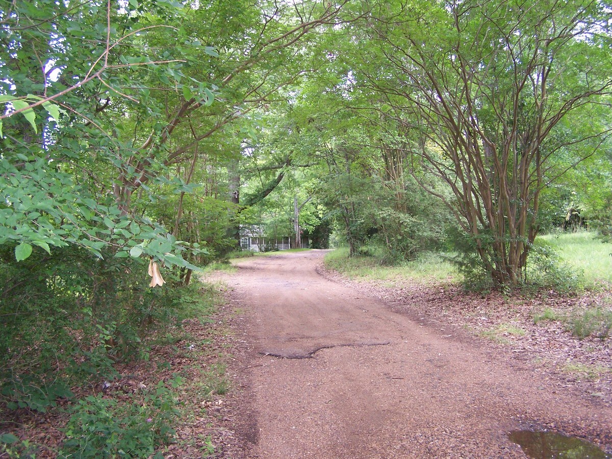 6703 Old Canton Rd, Ridgeland 39157 UK