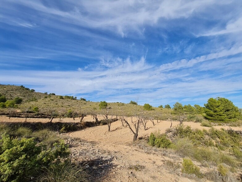 Land in Yecla, Murcia for sale - Aerial - Image 3 of 10