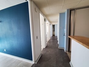 141 Camino Alto, Mill Valley, CA to rent Interior Photo- Image 1 of 9