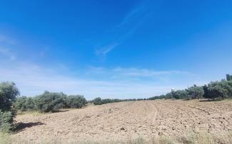 More details for Land for Sale