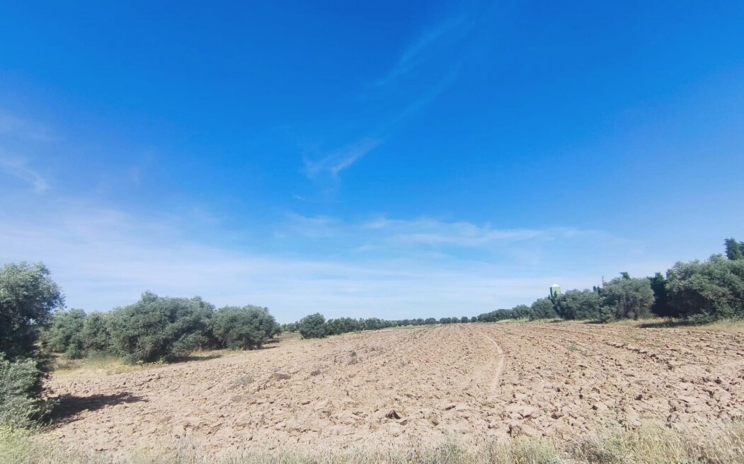 Land in Illescas, Toledo for sale Other- Image 1 of 4