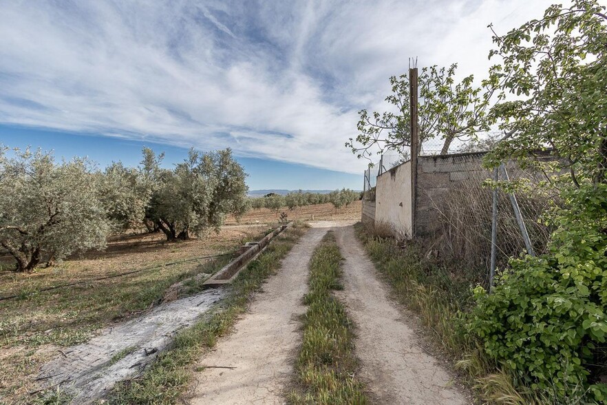 Pago de, Albolote, Granada for sale - Site Plan - Image 3 of 12