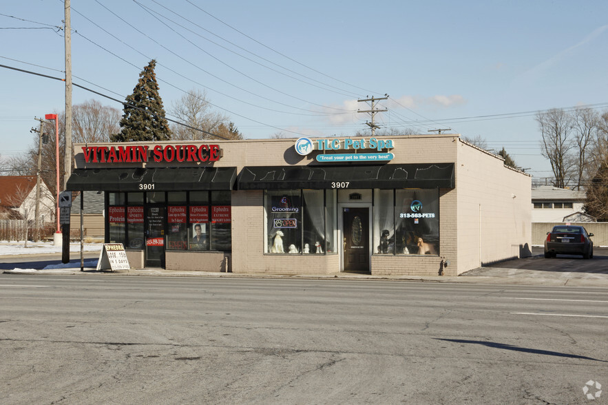 3901 & 3913 S Telegraph Rd Retail Center portfolio of 2 properties for sale on LoopNet.co.uk - Primary Photo - Image 1 of 2