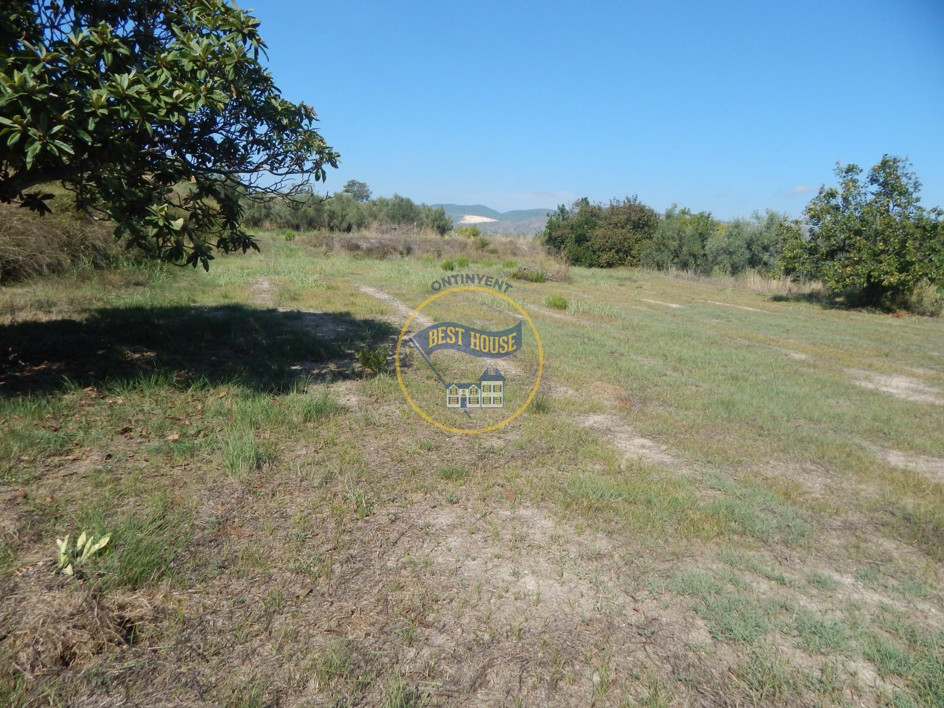 Land in Ontinyent, Valencia for sale Primary Photo- Image 1 of 14