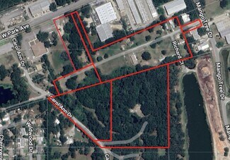 More details for 210 Mango Tree Dr, Edgewater, FL - Build-to-Rent for Sale