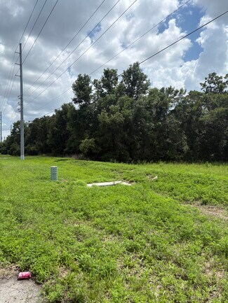 More details for 4909 Paul Buchman Hwy, Plant City, FL - Land to Rent