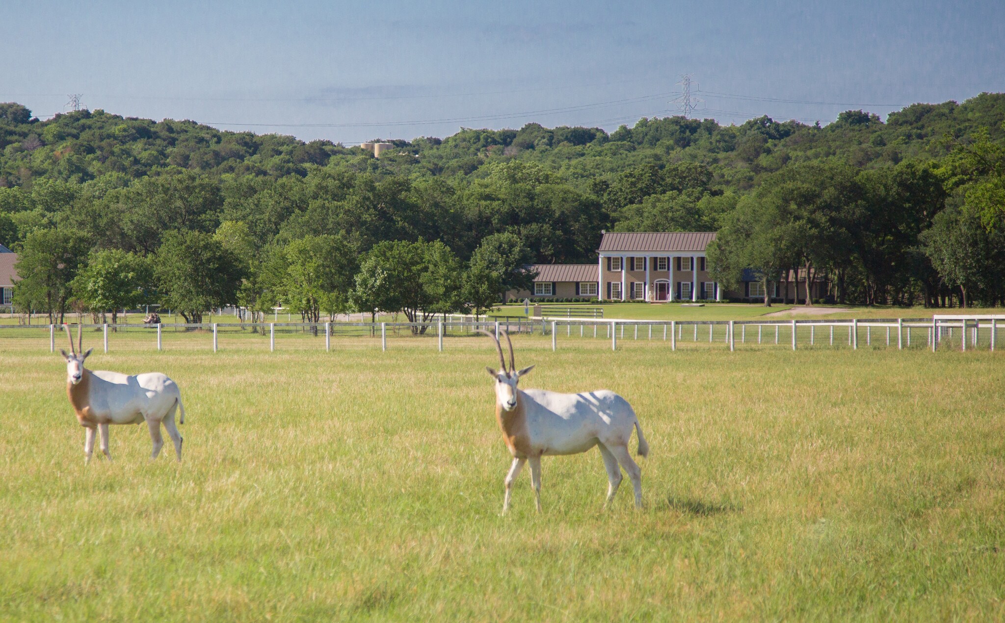 200 Legacy Downs Dr, Fort Worth, TX for sale Primary Photo- Image 1 of 1