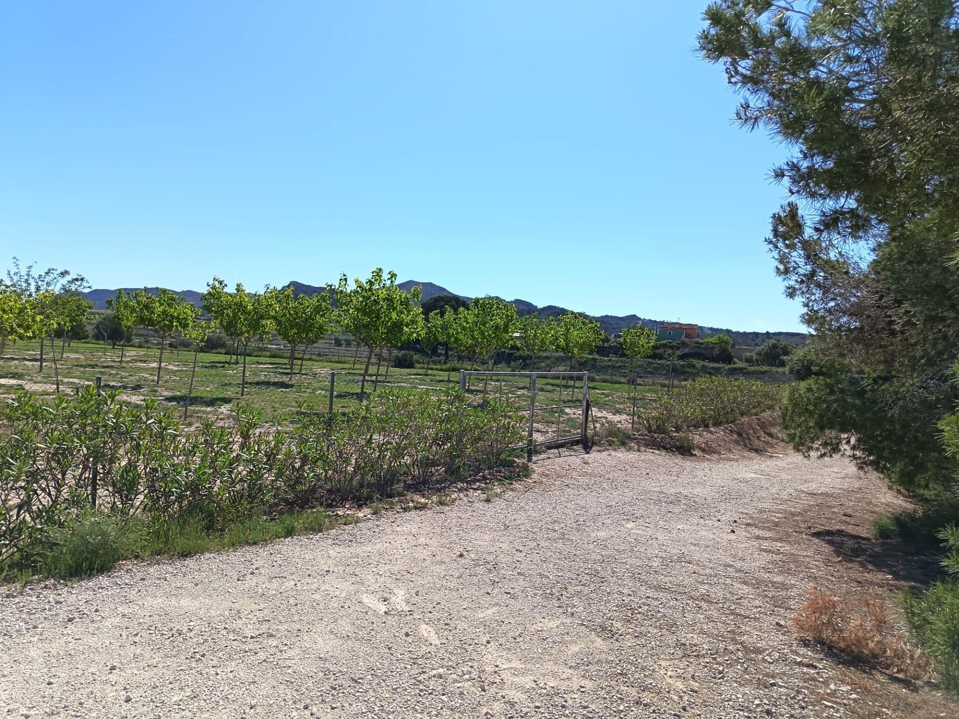 Land in Monforte del Cid, Alicante for sale Site Plan- Image 1 of 6