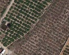 More details for Cami Barranc Sinyor, Llauri, Comunidad Valenciana, Sn, València - Land for Sale