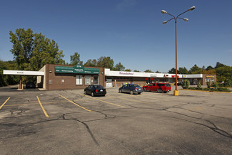 More details for 56270-56330 Grand River Ave, New Hudson, MI - Office, Retail for Rent