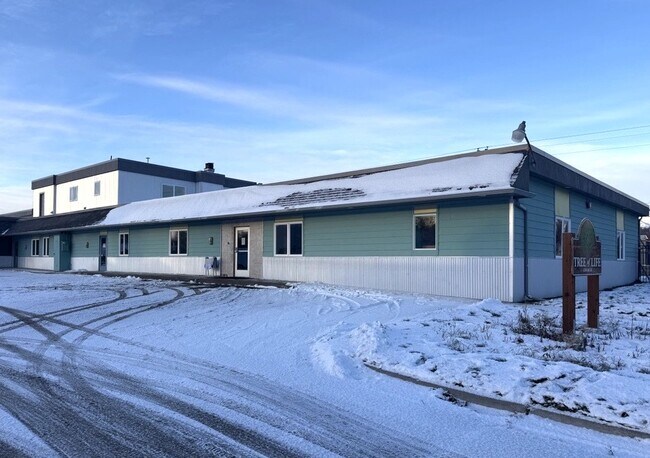 More details for 268 E Fireweed Ave, Palmer, AK - Office to Rent