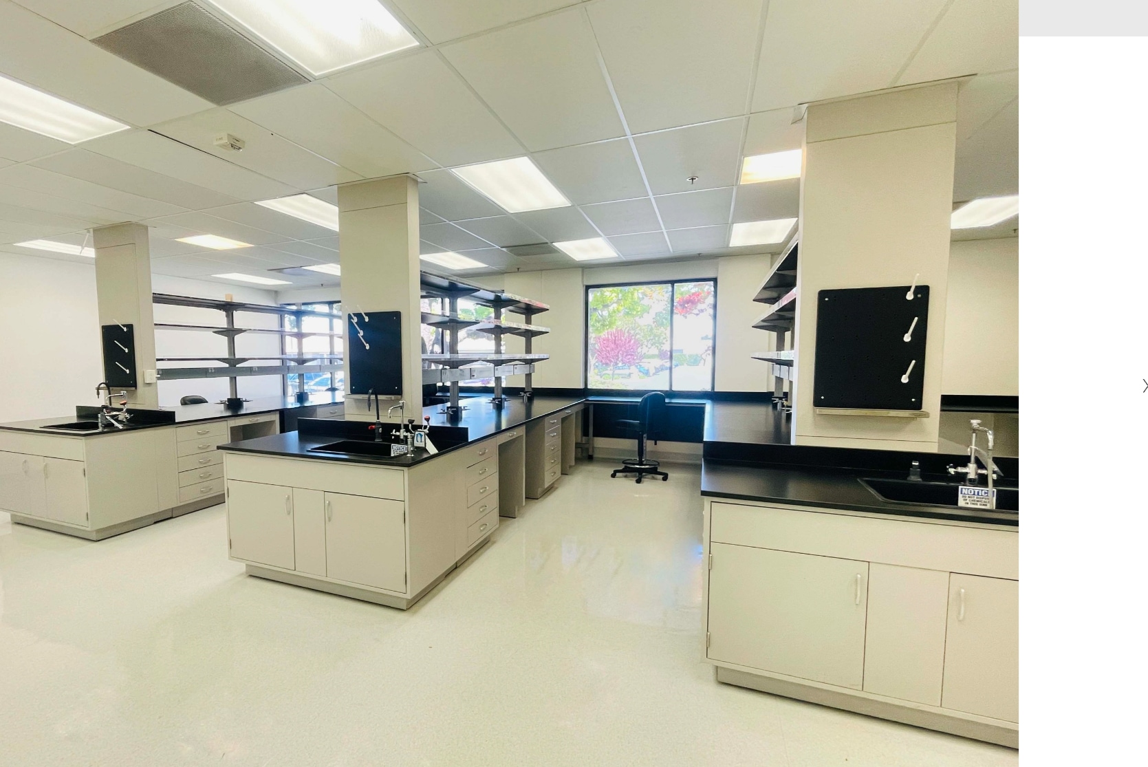 319 N Bernardo Ave, Mountain View, CA to rent Building Photo- Image 1 of 4