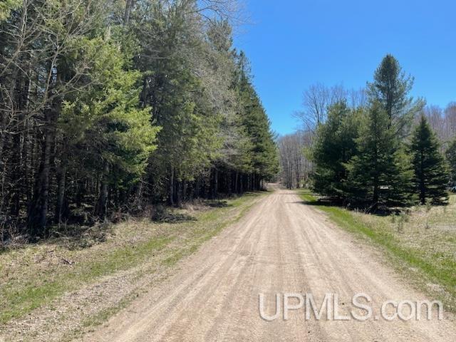 TBD Ackerman Lake Road, Munising, MI for sale - Building Photo - Image 2 of 6