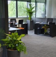 Office in Bry-sur-Marne to rent Interior Photo- Image 2 of 8