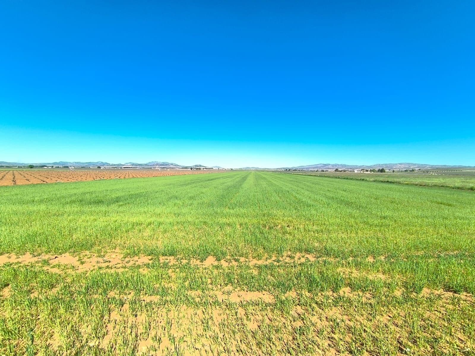 Land in Yecla, Murcia for sale Aerial- Image 1 of 4