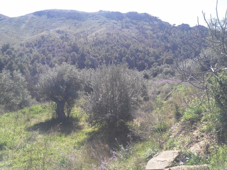 Land in Calasparra for sale - Building Photo - Image 3 of 10