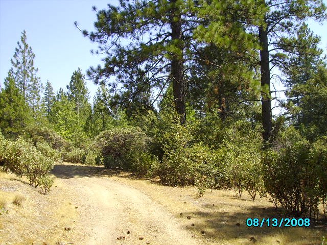 3416 Big Ridge Rd, Berry Creek, CA for sale - Building Photo - Image 3 of 4