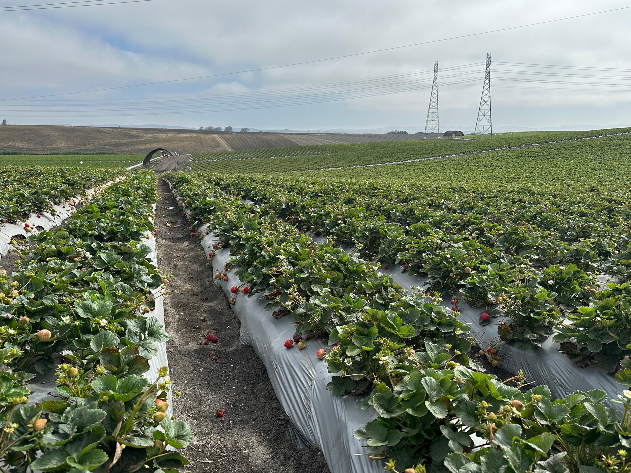 151 Rodgers Rd, Salinas, CA for sale Building Photo- Image 1 of 1