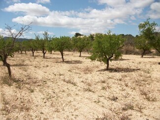 More details for Land for Sale