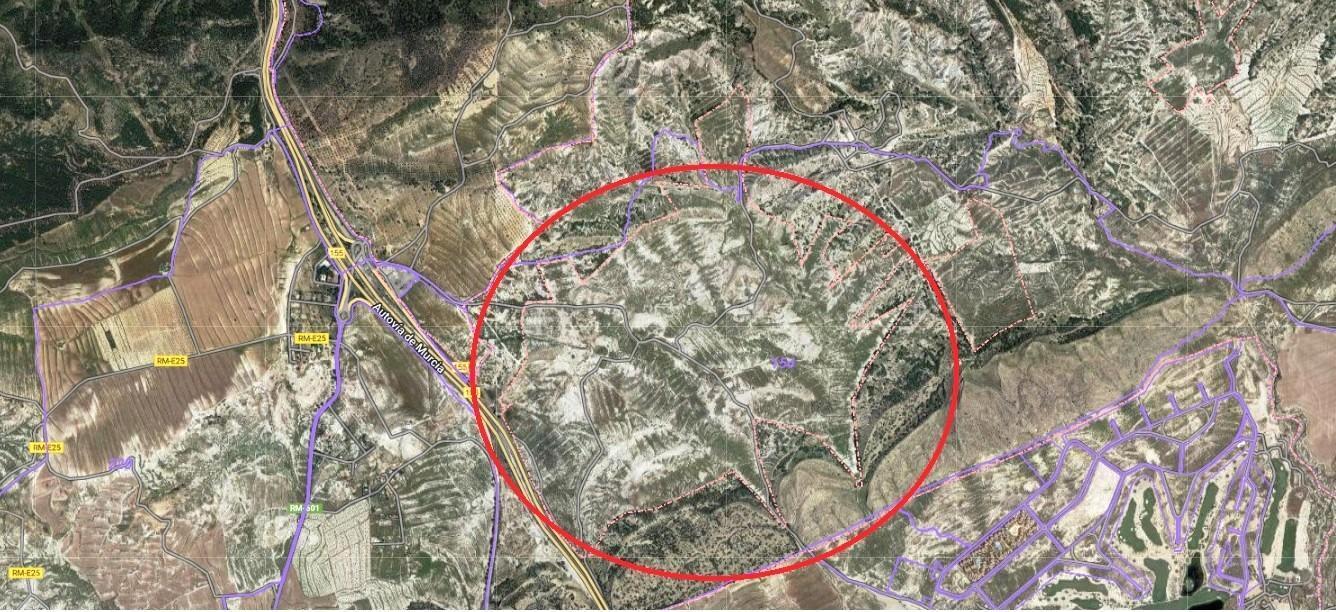 Port de la Olivera, 6, Murcia, Murcia for sale Primary Photo- Image 1 of 9