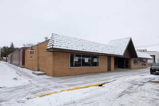 More details for 24 Center Ave N, Madelia, MN - Flex for Rent