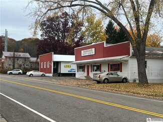 More details for 320 Maple Ave, Cassadaga, NY - Retail for Sale