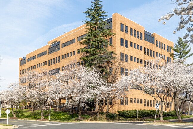 More details for 1901 N Beauregard St, Alexandria, VA - Office / Medical to Rent