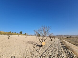 More details for Land for Sale