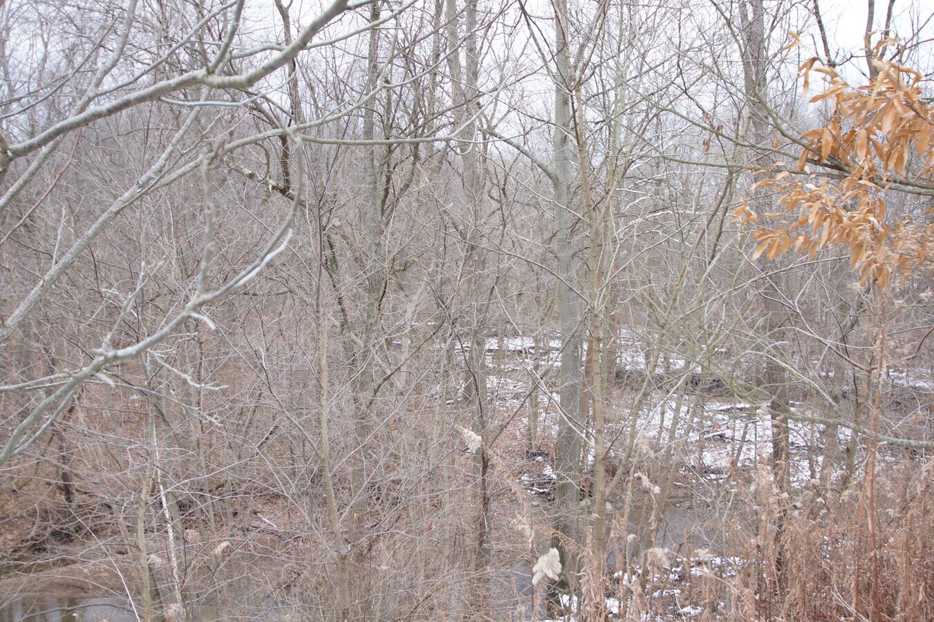 Barrs St SW, Massillon 44647 Land for Sale