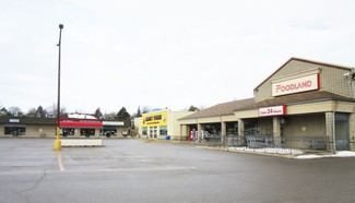 More details for 226 1st Ave E, Shelburne, ON - Retail for Rent