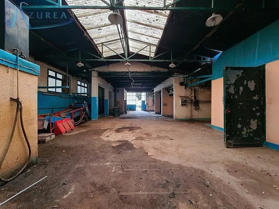 Location Entrepôt 250 m² - Photo 1
