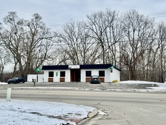 More details for 314 Arlington St, Middleville, MI - Retail for Sale