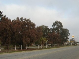 851 El Camino Real, Greenfield, CA for sale - Primary Photo - Image 1 of 1