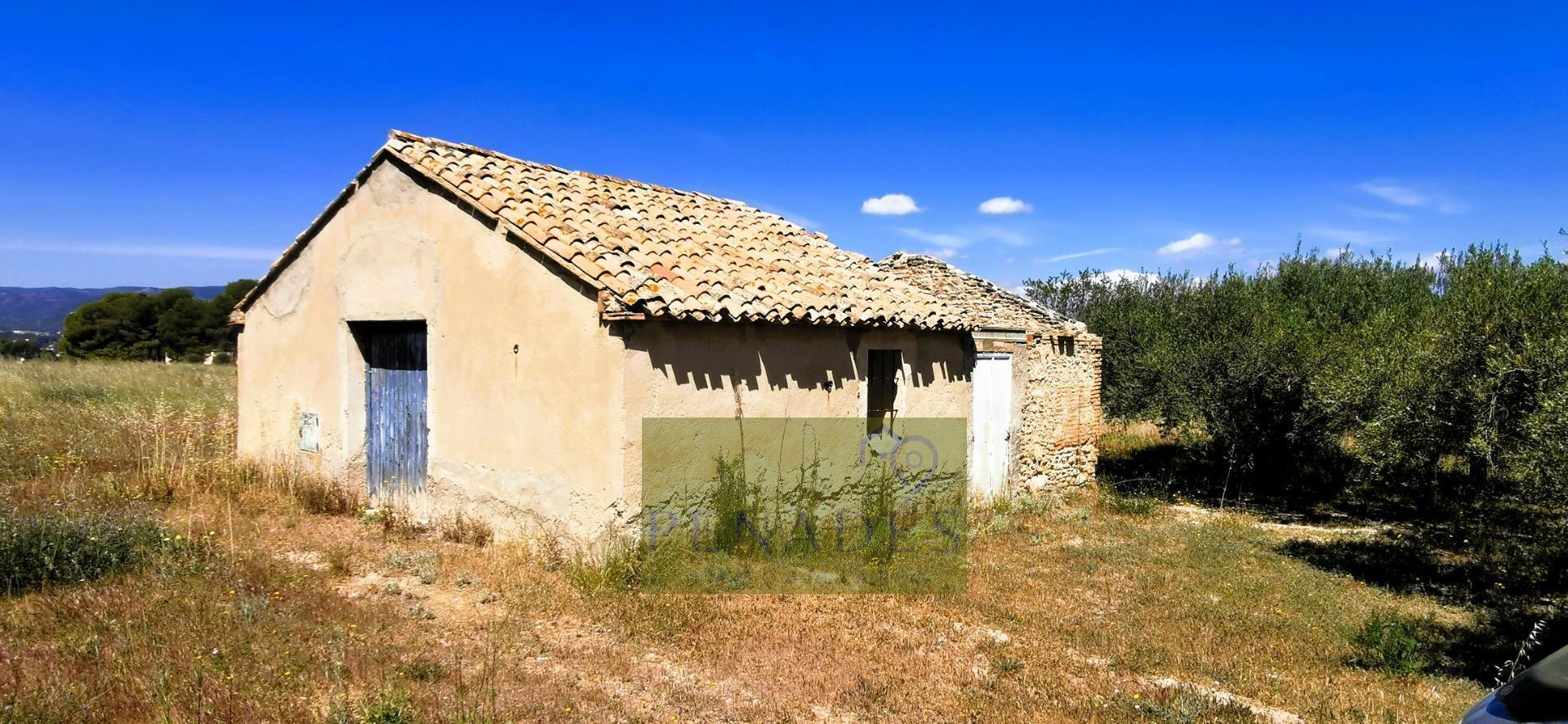 Land in Alfafara, Alicante for sale Primary Photo- Image 1 of 15