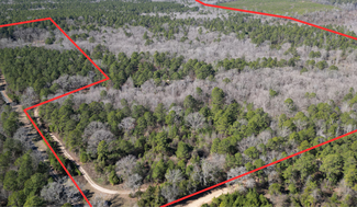 More details for TBD CR 3217, Atlanta, TX - Land for Sale