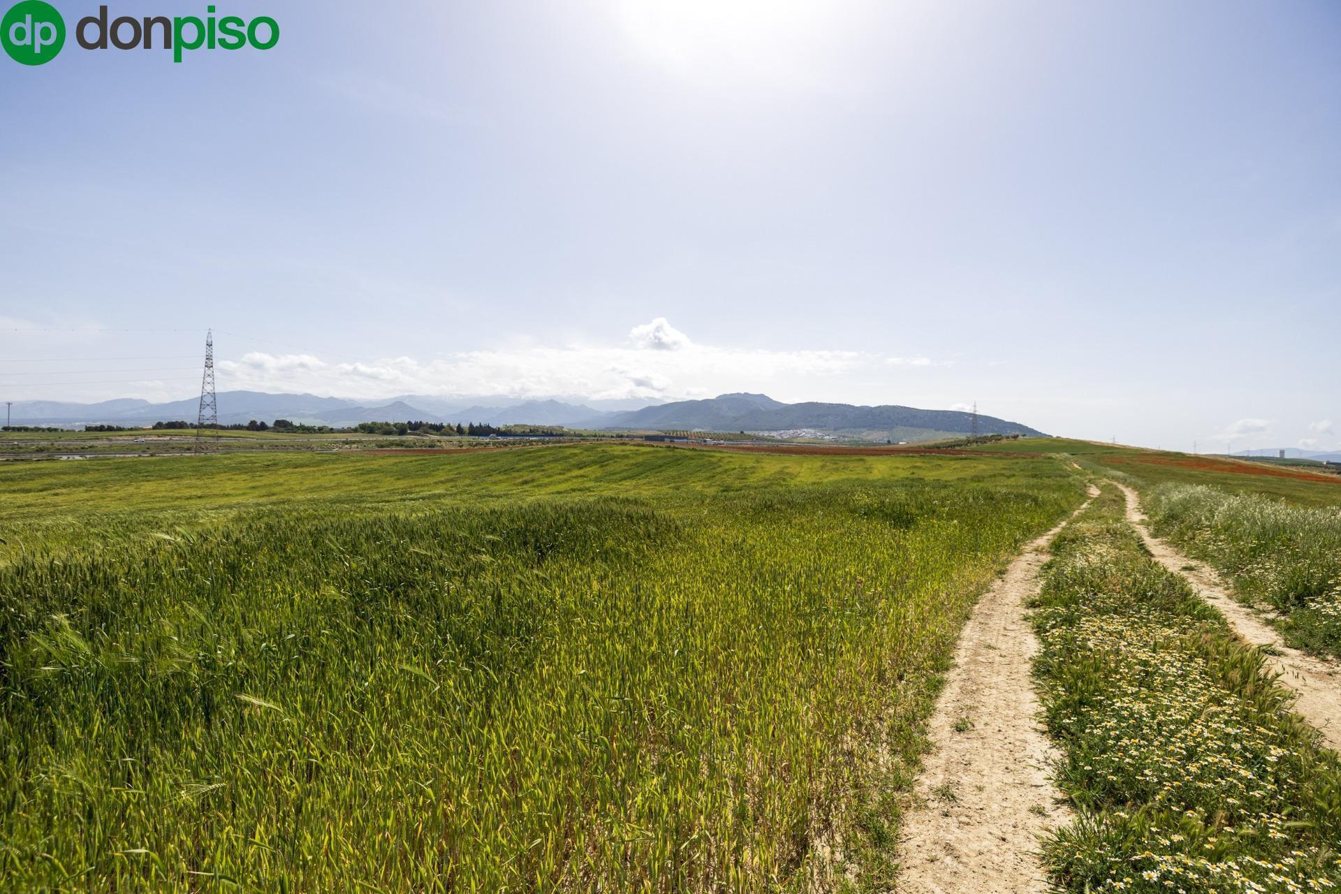 Land in Granada for sale Building Photo- Image 1 of 26