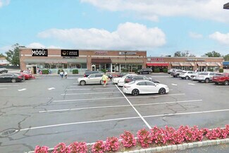 More details for 530 Jericho Tpke, Mineola, NY - Retail for Rent