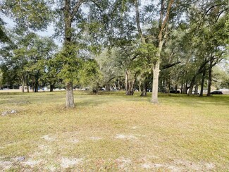 More details for 000 SW Archer Rd, Archer, FL - Land for Sale