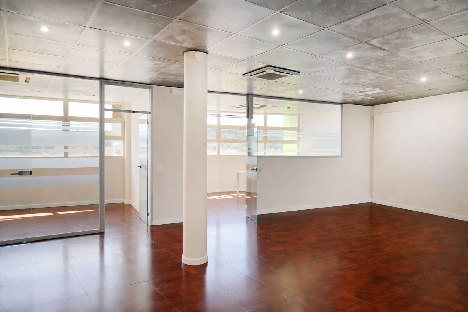 Retail in Palma to rent Interior Photo- Image 1 of 9