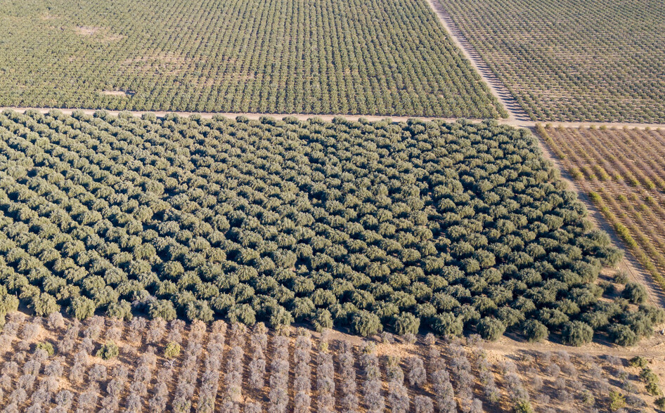 Avenue 74, Terra Bella, CA for sale - Primary Photo - Image 1 of 7